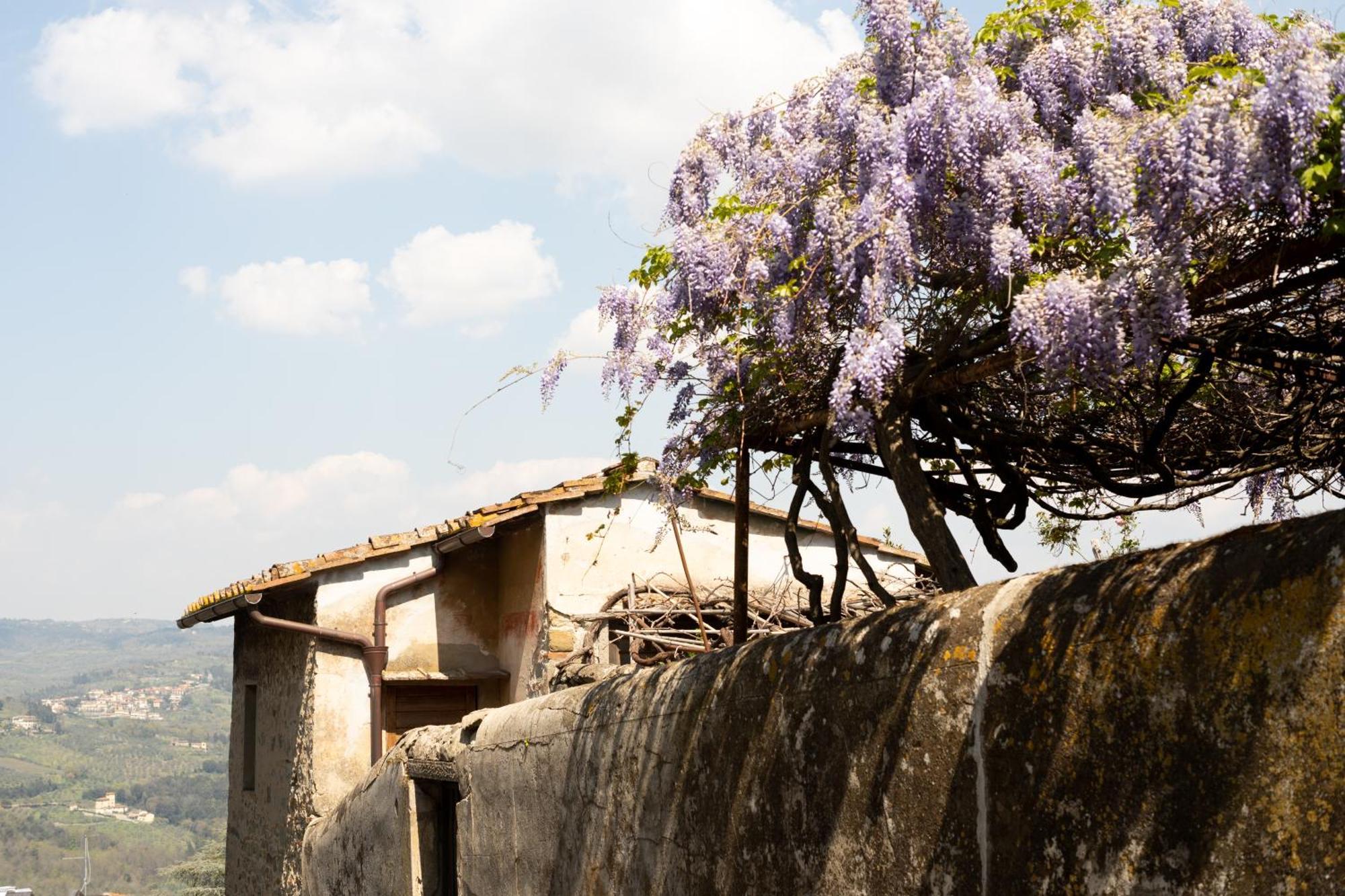Le Cannelle Fiesole