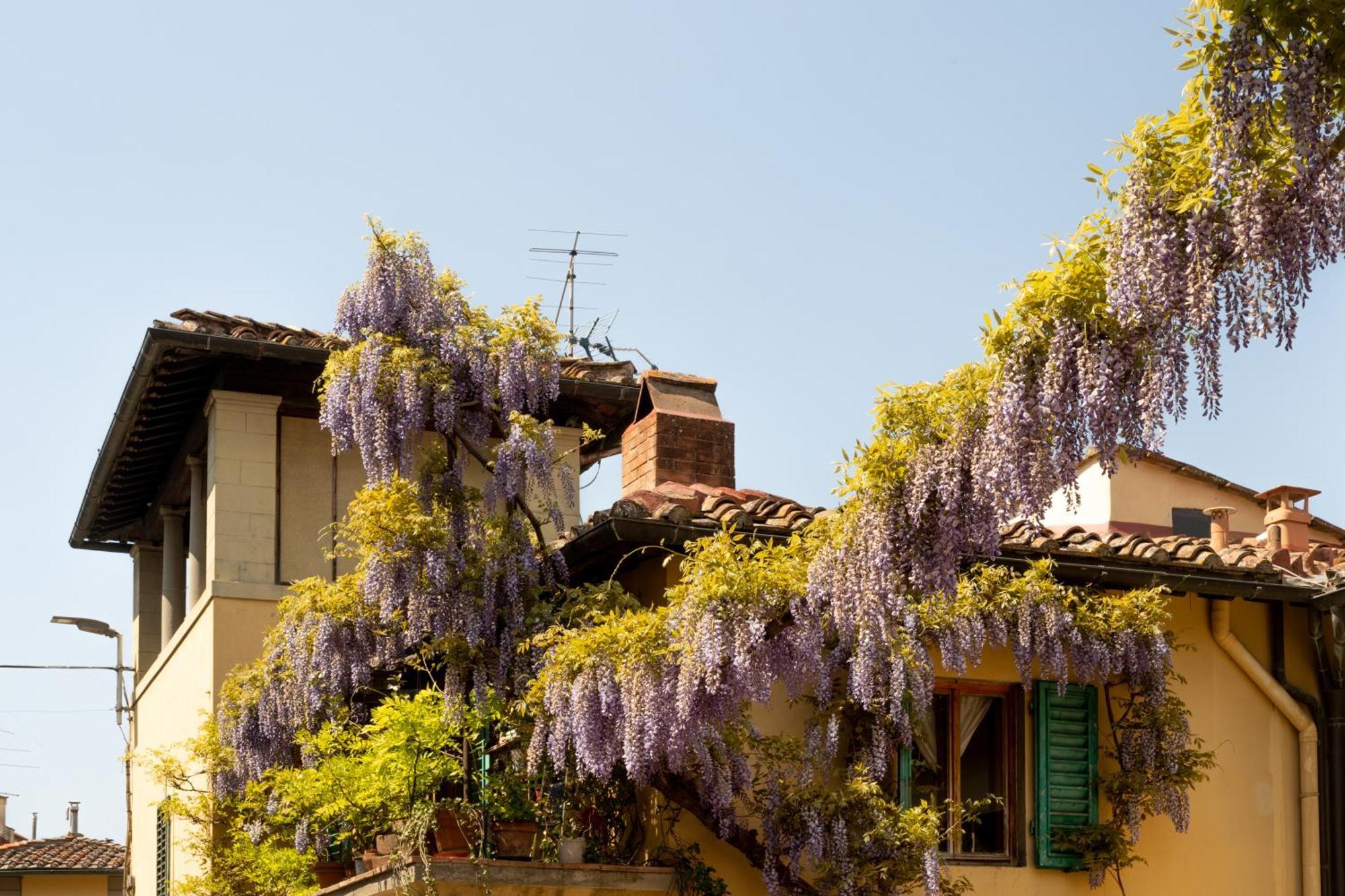 Le Cannelle Bed & Breakfast Fiesole
